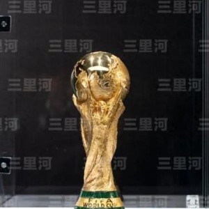 世界杯，花落粤港澳？|粤港澳大湾区|赛事|大力神杯|中国国家体育总局|奥运会_新浪新闻